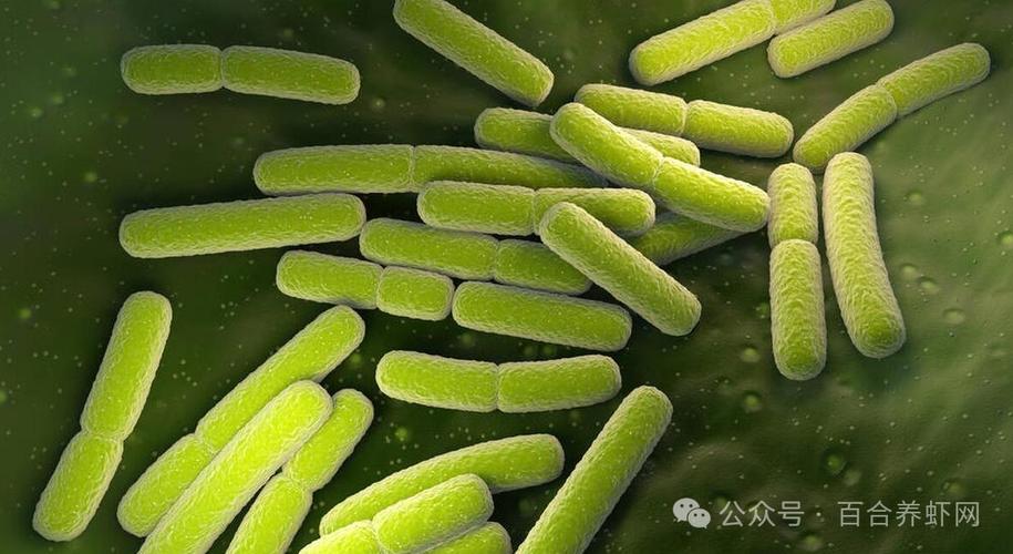 水产养殖中的毒是什么？如何正确使用解毒产品！