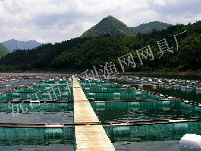养鱼网箱,鱼网批发,水产养殖网箱框架批发