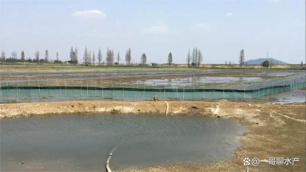 黄金肽水产肥水专用,水产养殖为什么需要肥水?应该如何快速肥水