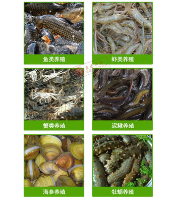 【益富源鱼虾蟹海参龟用水产动物促长剂em菌种鱼饲料添加剂直销】价格_厂家_图片 -