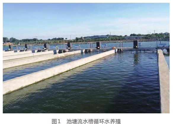中国现代水产养殖模式全面解析:从传统到创新