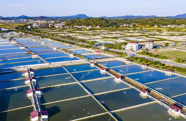 江西南丰:生态水产养殖助农增收